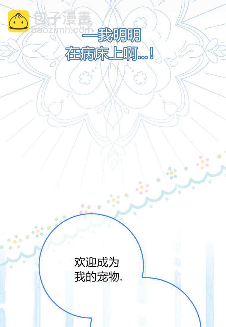 瘋狂虎鯨愛惜的企鵝 - 第01話(1/3) - 1