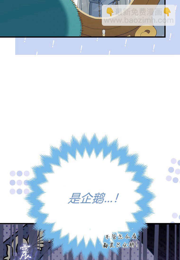 瘋狂虎鯨愛惜的企鵝 - 第01話(1/3) - 6