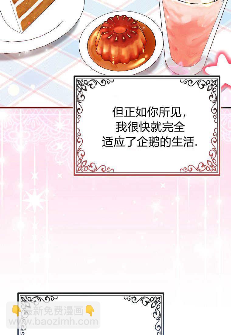 瘋狂虎鯨愛惜的企鵝 - 第01話(2/3) - 6