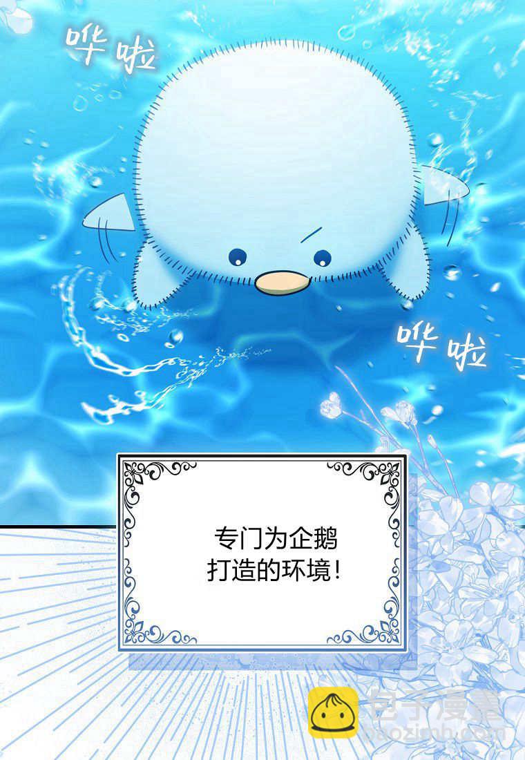 瘋狂虎鯨愛惜的企鵝 - 第01話(2/3) - 7