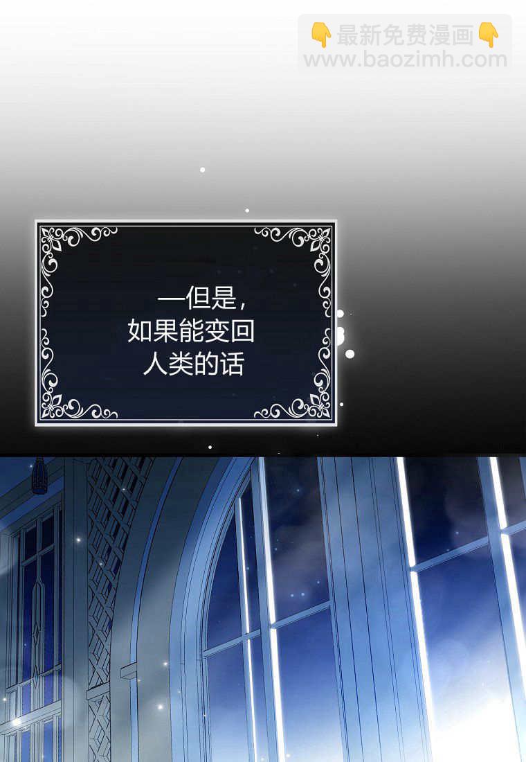 瘋狂虎鯨愛惜的企鵝 - 第01話(2/3) - 1