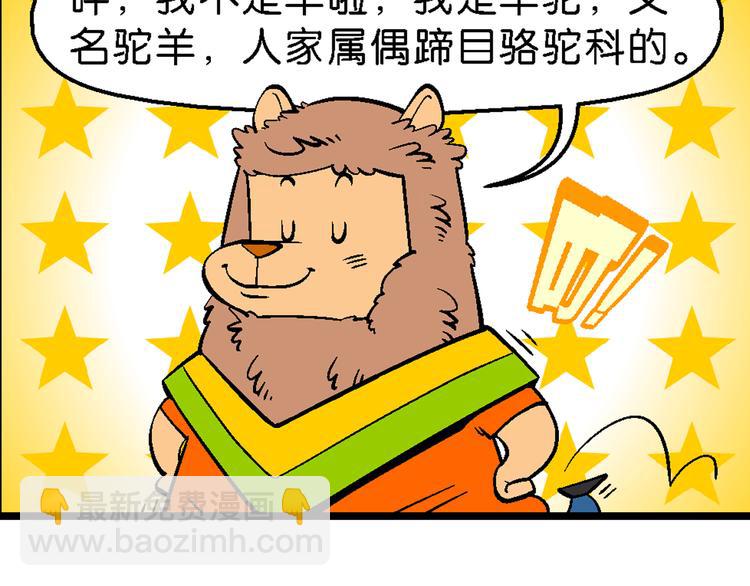 第19话 桂宝美洲寻宝记（1）(1/2)-第19话