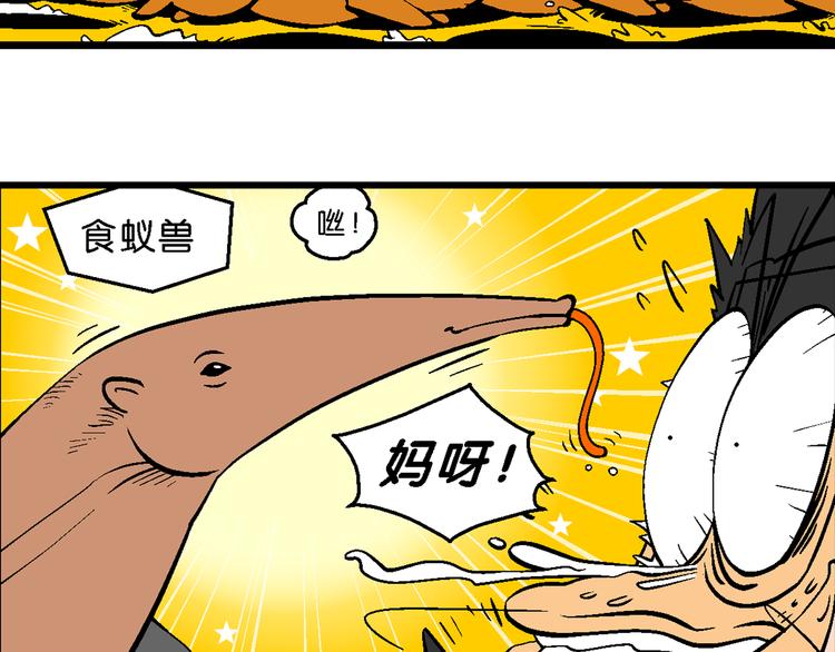 第19话 桂宝美洲寻宝记（1）(1/2)-第19话