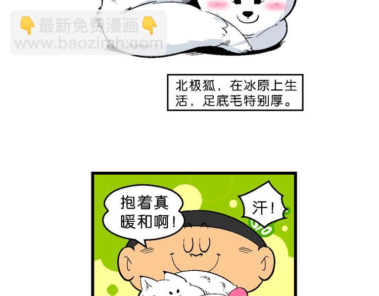 第33话 北极会友奇遇记(1/2)-第33话