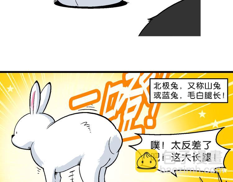 第33话 北极会友奇遇记(1/2)-第33话