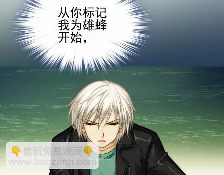 第14话 暴风雨的前夜(1/3)-第15话