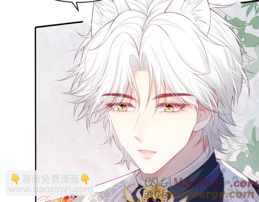 39 我一直很感谢斐西公子(1/2)-第39话