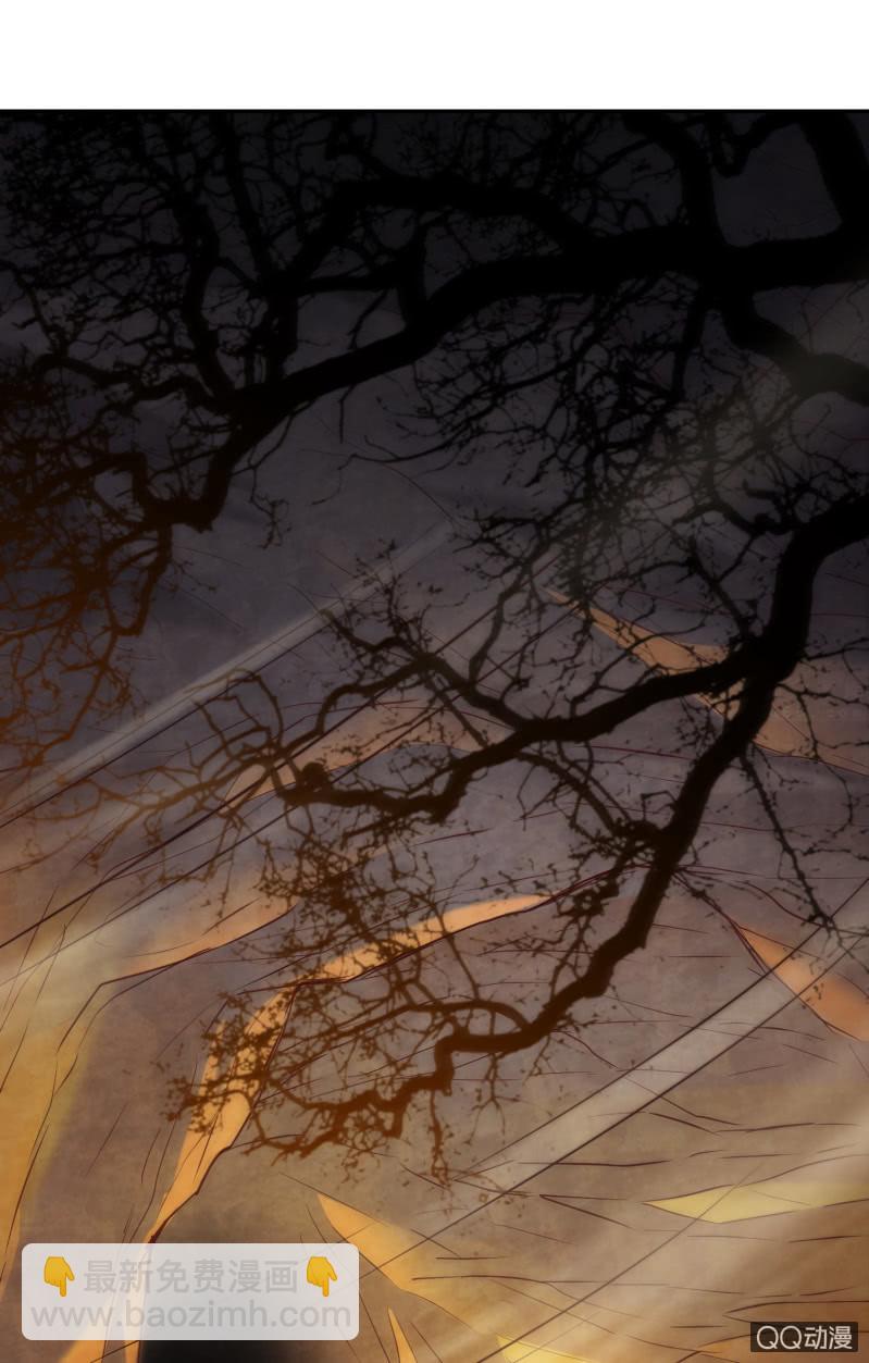 第2话 野外求生-第3话