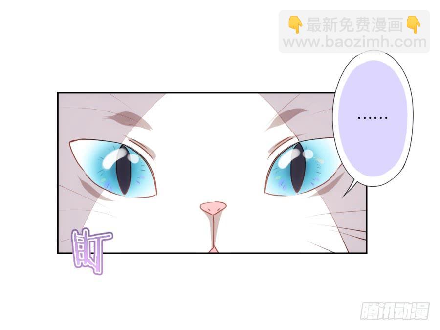 我被一只猫踩了&hellip;怎么办在线等！-第69话