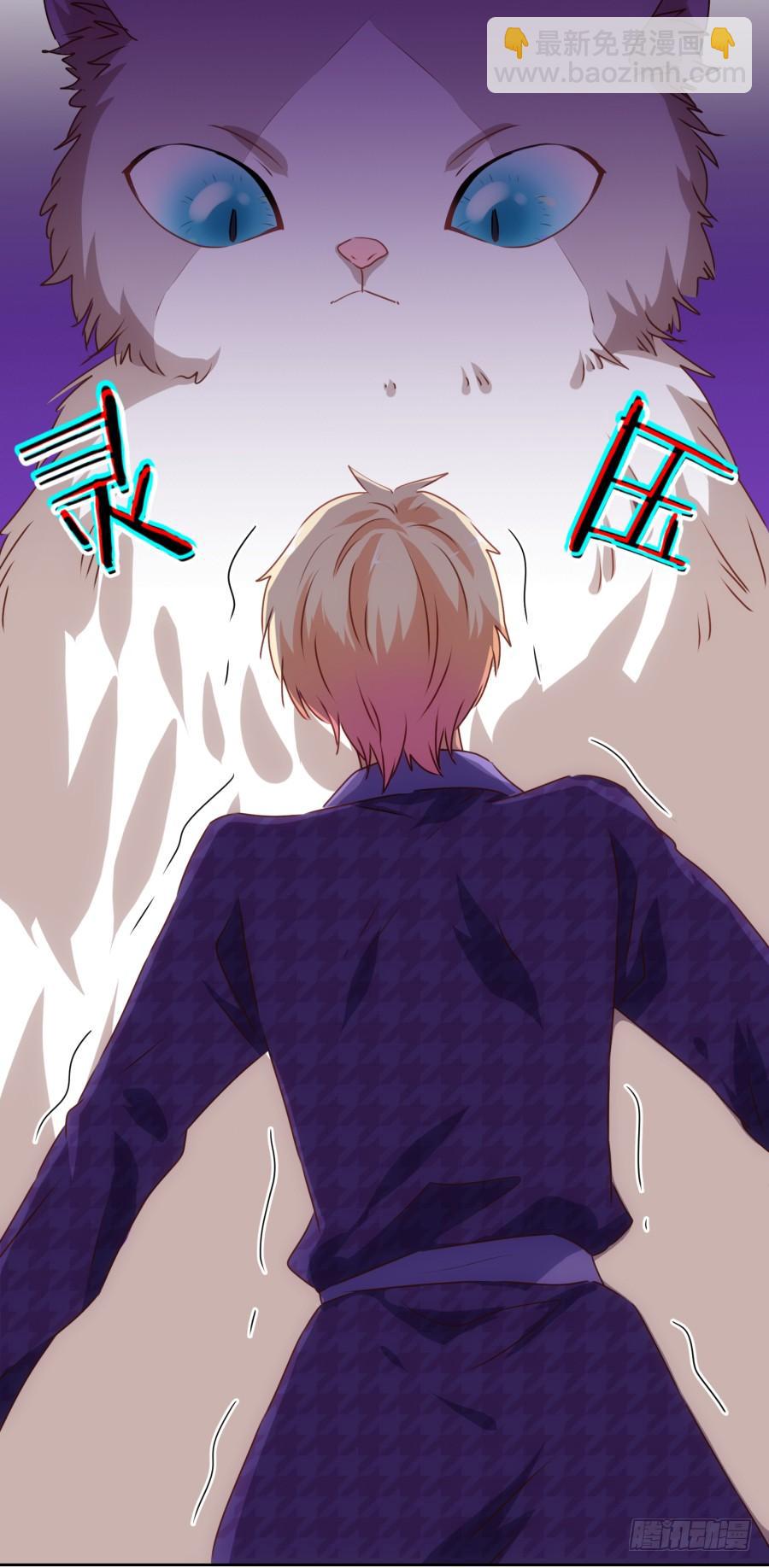 我被一只猫踩了&hellip;怎么办在线等！-第69话