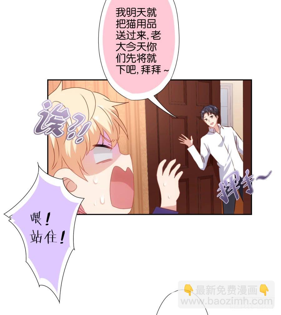 我被一只猫踩了&hellip;怎么办在线等！-第69话