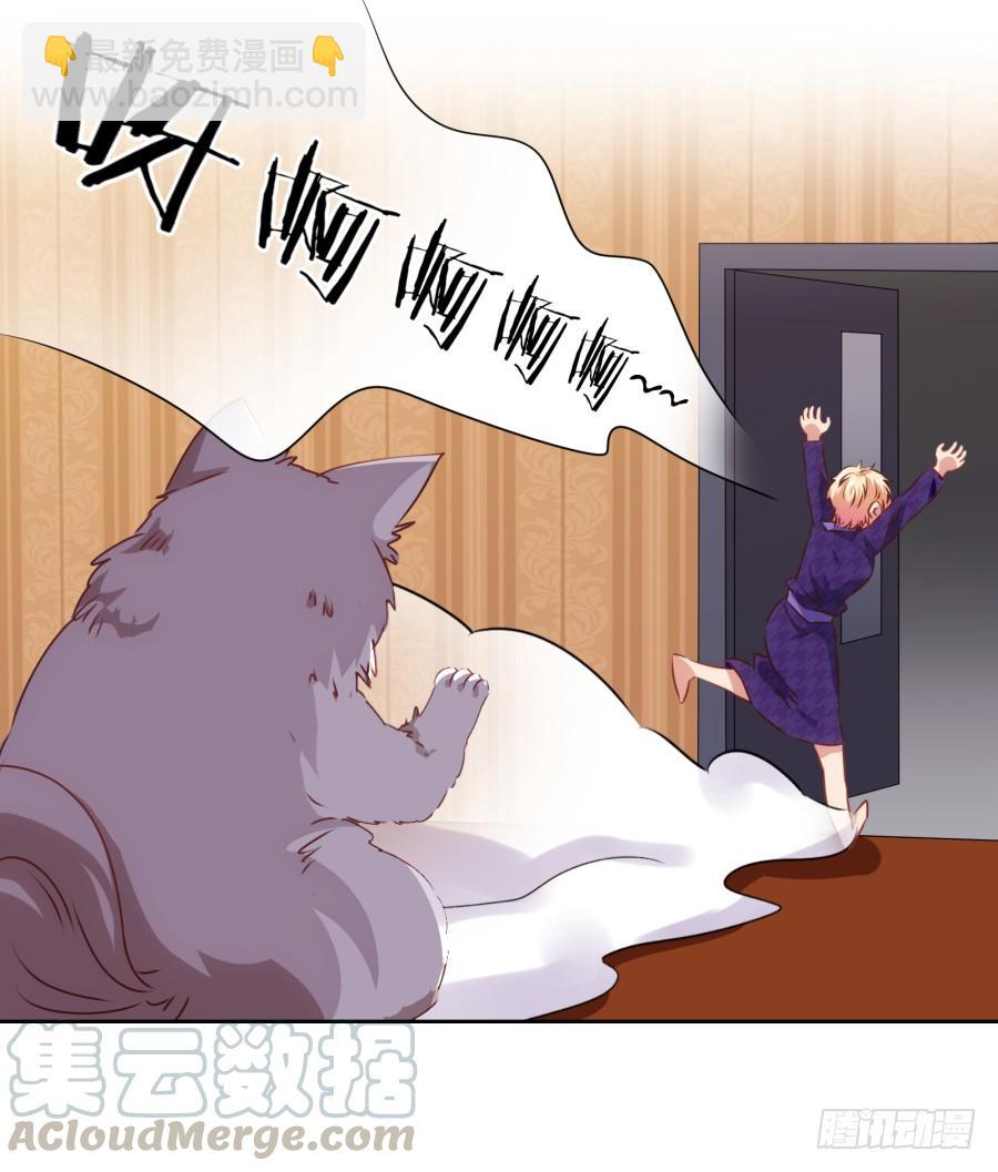 我被一只猫踩了&hellip;怎么办在线等！-第69话