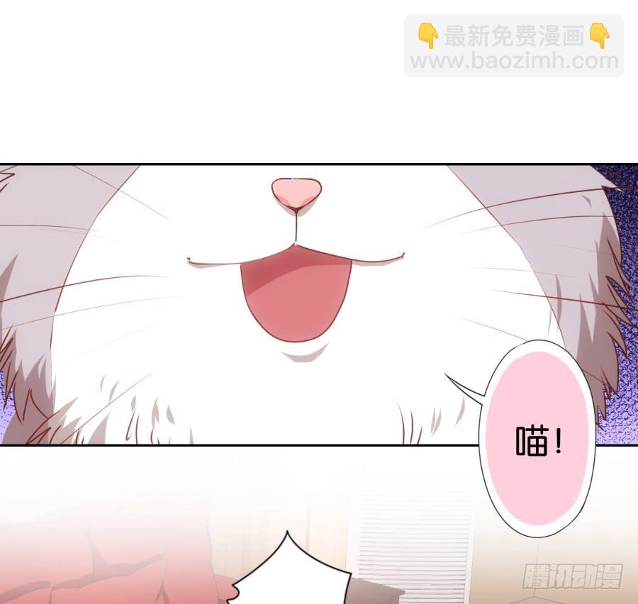 我被一只猫踩了&hellip;怎么办在线等！-第69话