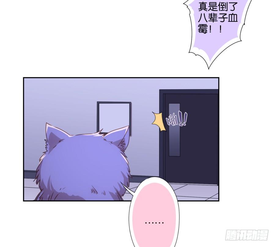 我被一只猫踩了&hellip;怎么办在线等！-第69话