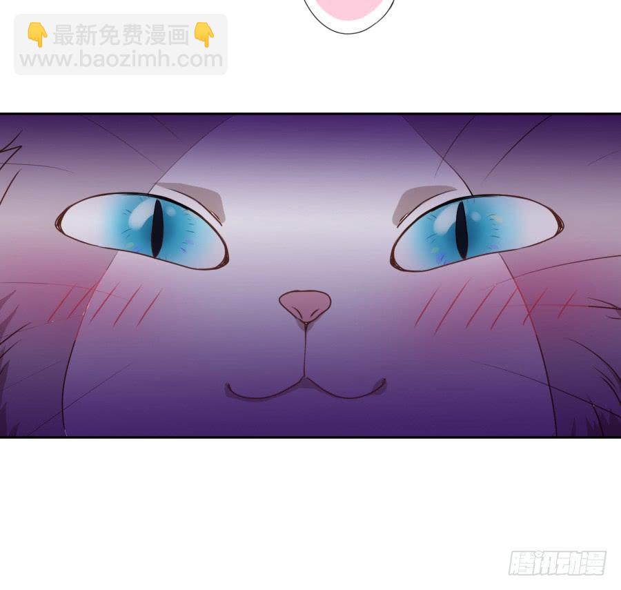 我被一只猫踩了&hellip;怎么办在线等！-第69话