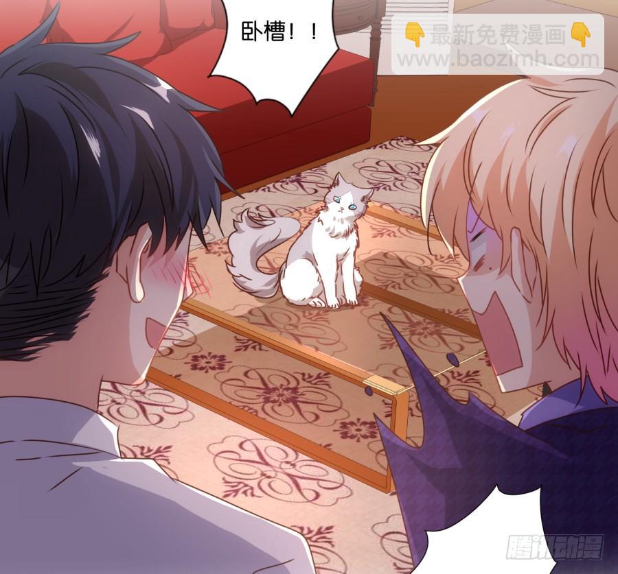 我被一只猫踩了&hellip;怎么办在线等！-第69话