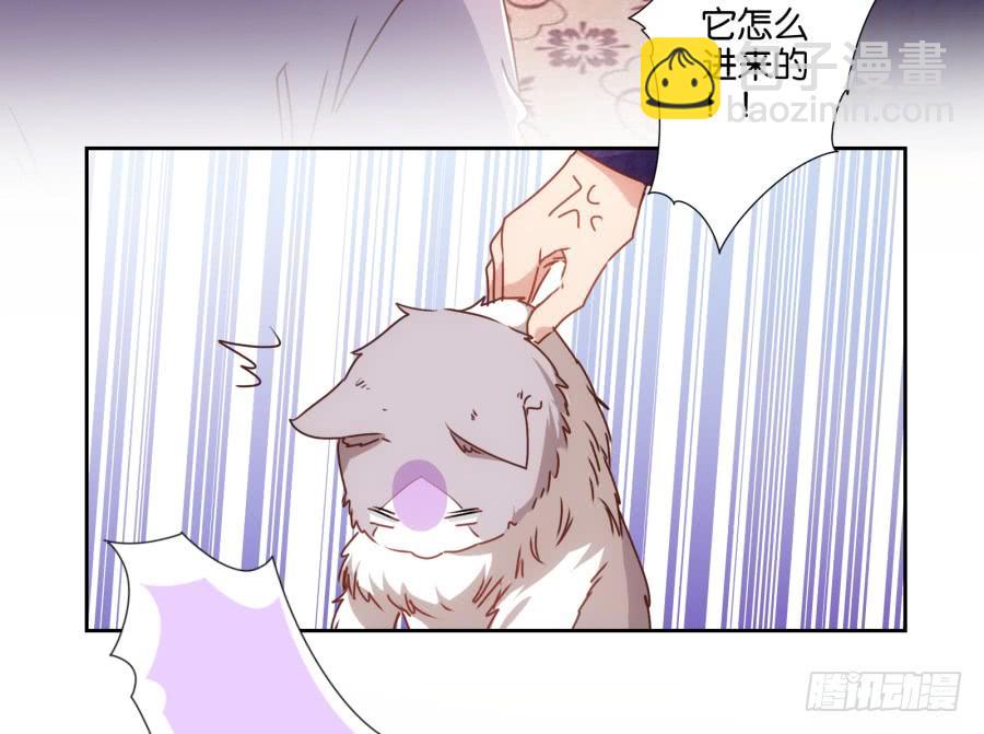 我被一只猫踩了&hellip;怎么办在线等！-第69话