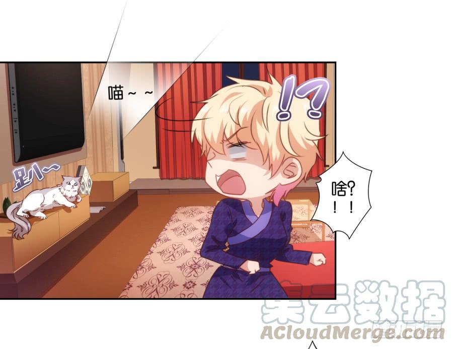 我被一只猫踩了&hellip;怎么办在线等！-第69话
