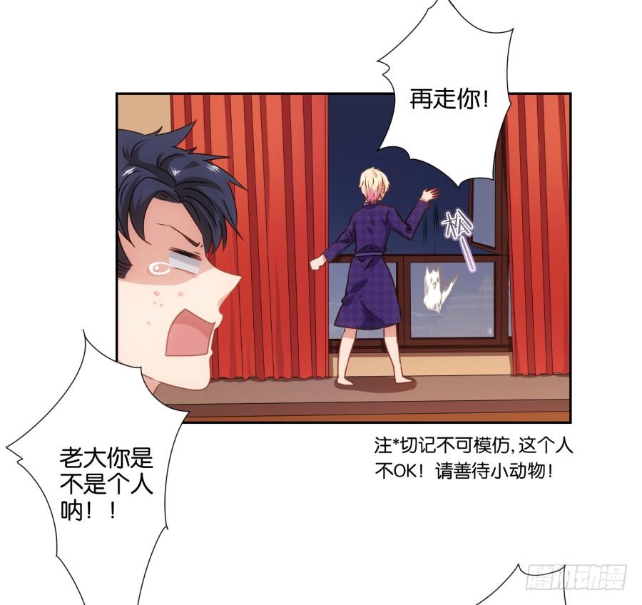 我被一只猫踩了&hellip;怎么办在线等！-第69话