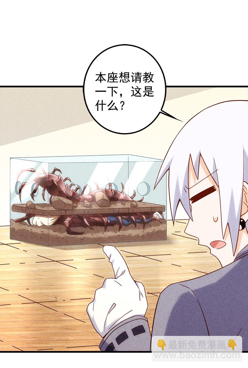 20 奇怪的小姐姐们(1/2)-第21话