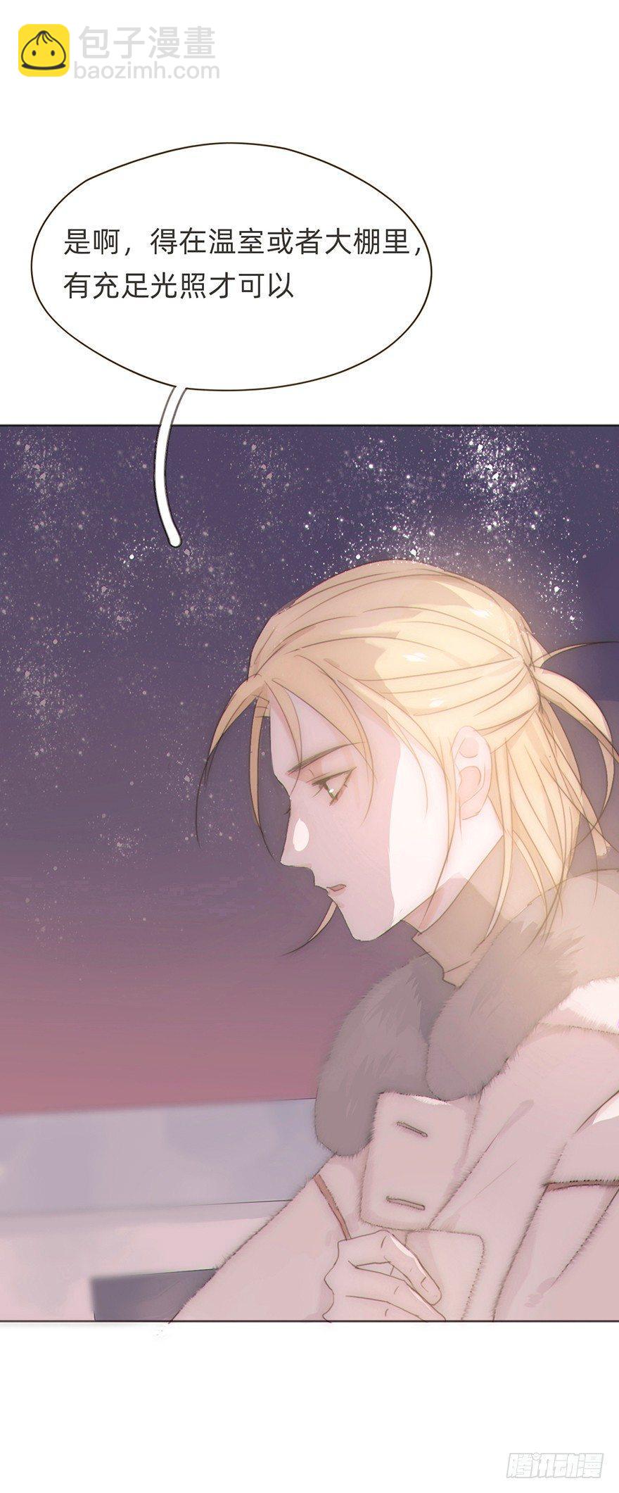 我的美人（九）(1/2)-第33话