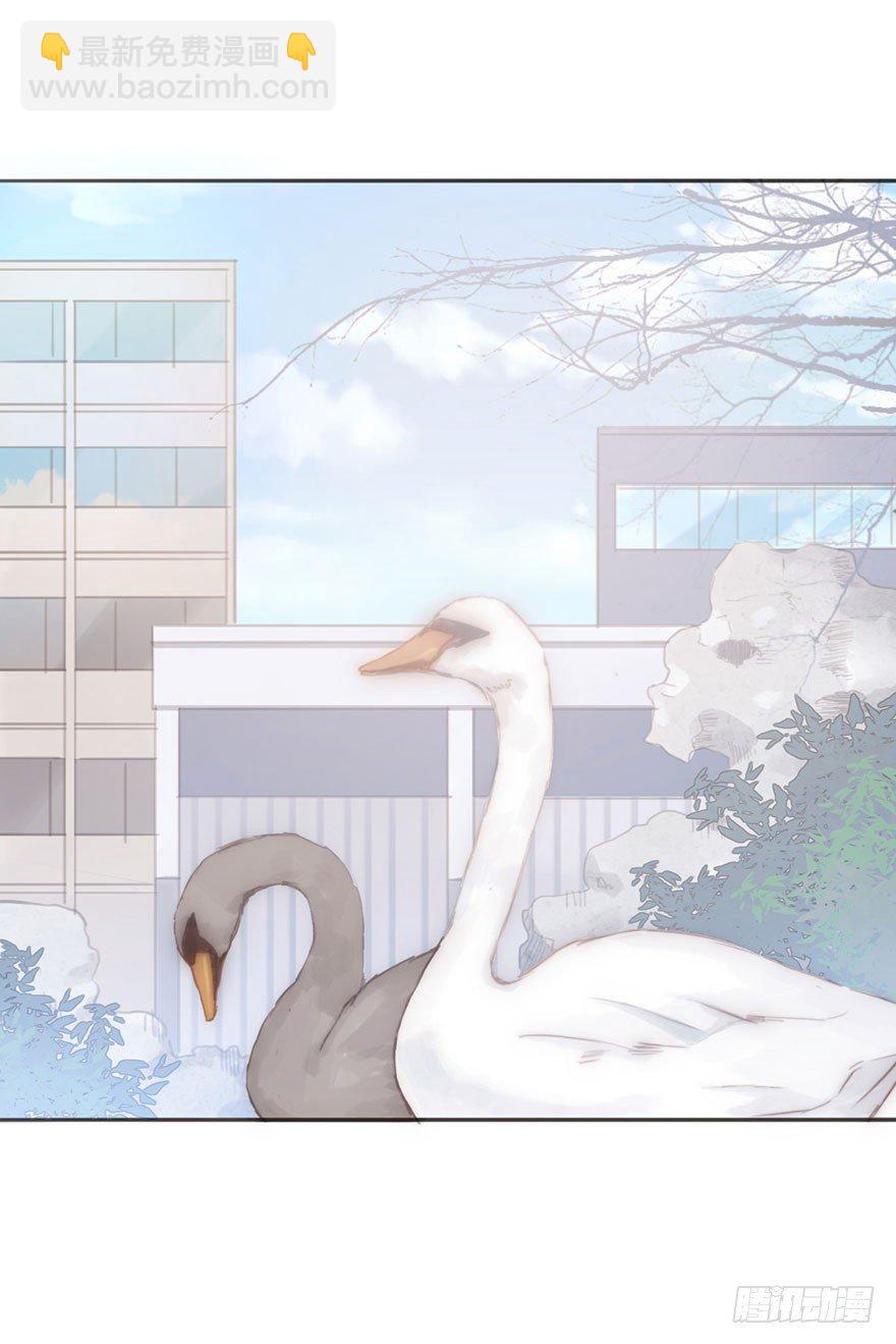 我的美人（十六）(1/2)-第41话