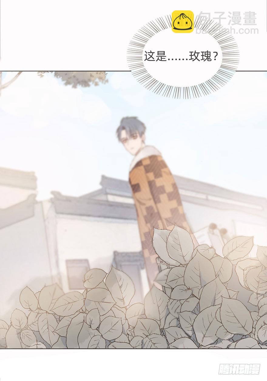 我的美人（八）(1/2)-第25话