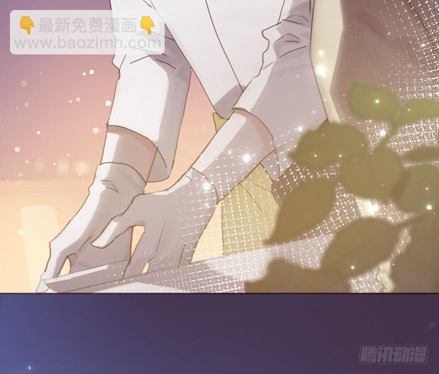 蜜糖陷阱（一）(1/2)-第11话