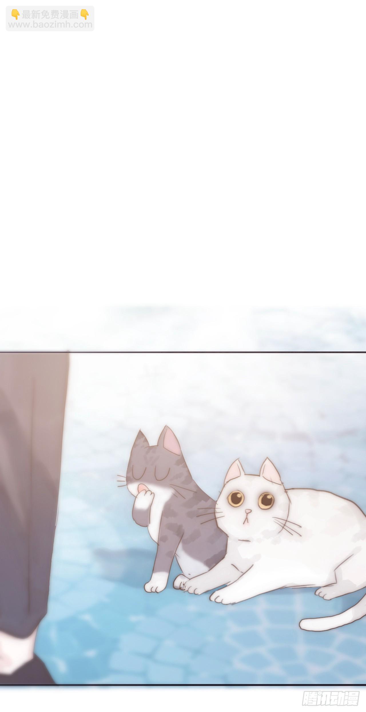 蜜糖陷阱（九）(1/2)-第41话