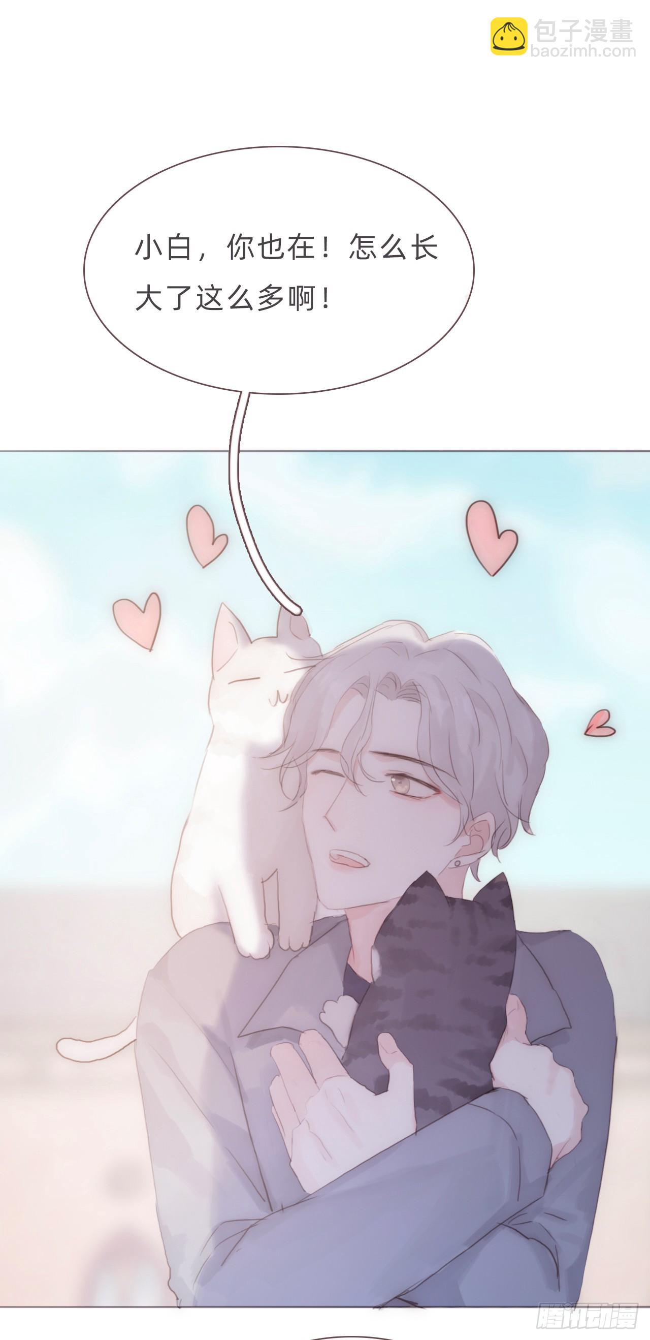 蜜糖陷阱（九）(1/2)-第41话