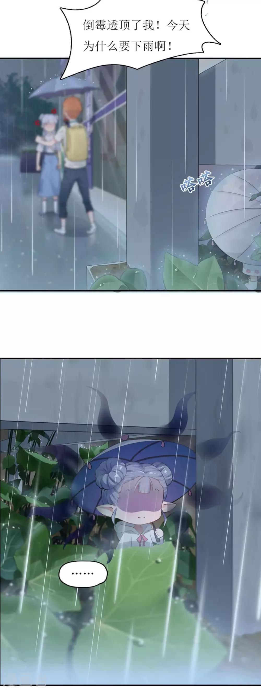 第3话 初次见面，我叫萧风风-第3话