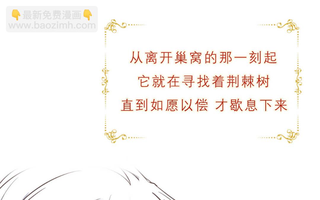 033 名字③(1/2)-第33话