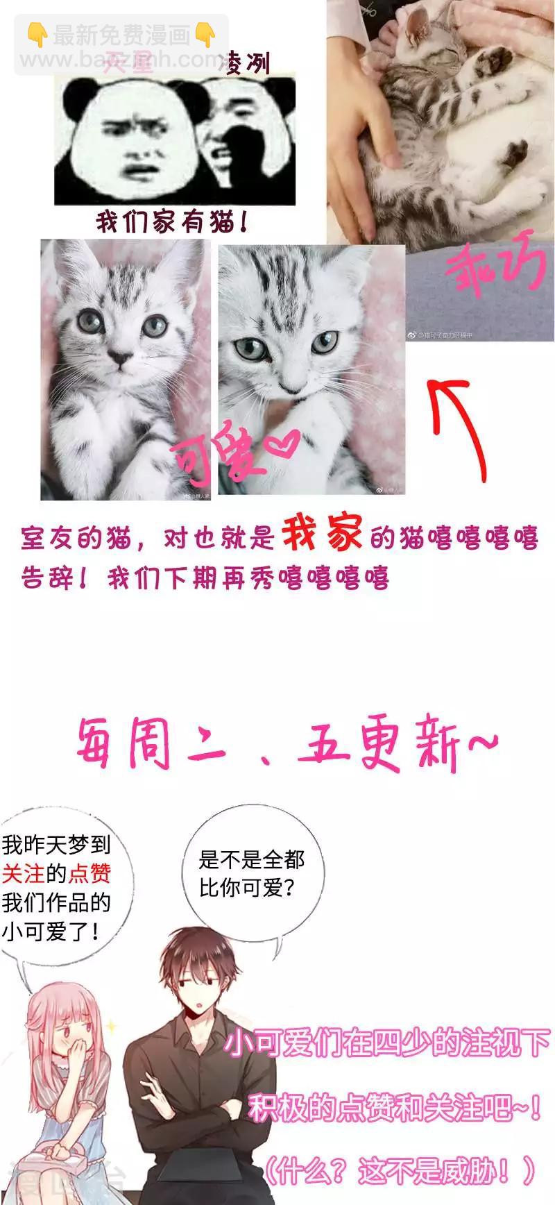 第15话 珍惜-第15话