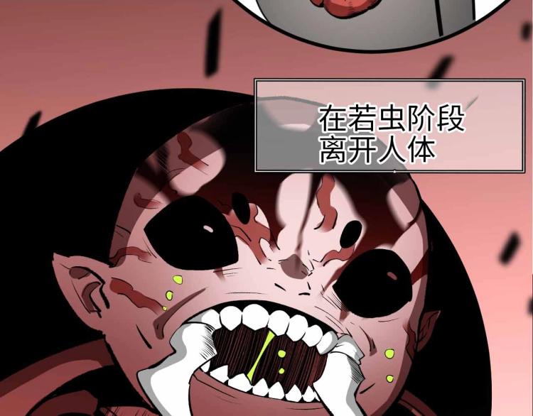 第24话 特别的演出(1/3)-第25话