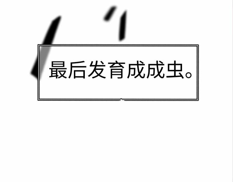 第24话 特别的演出(1/3)-第25话