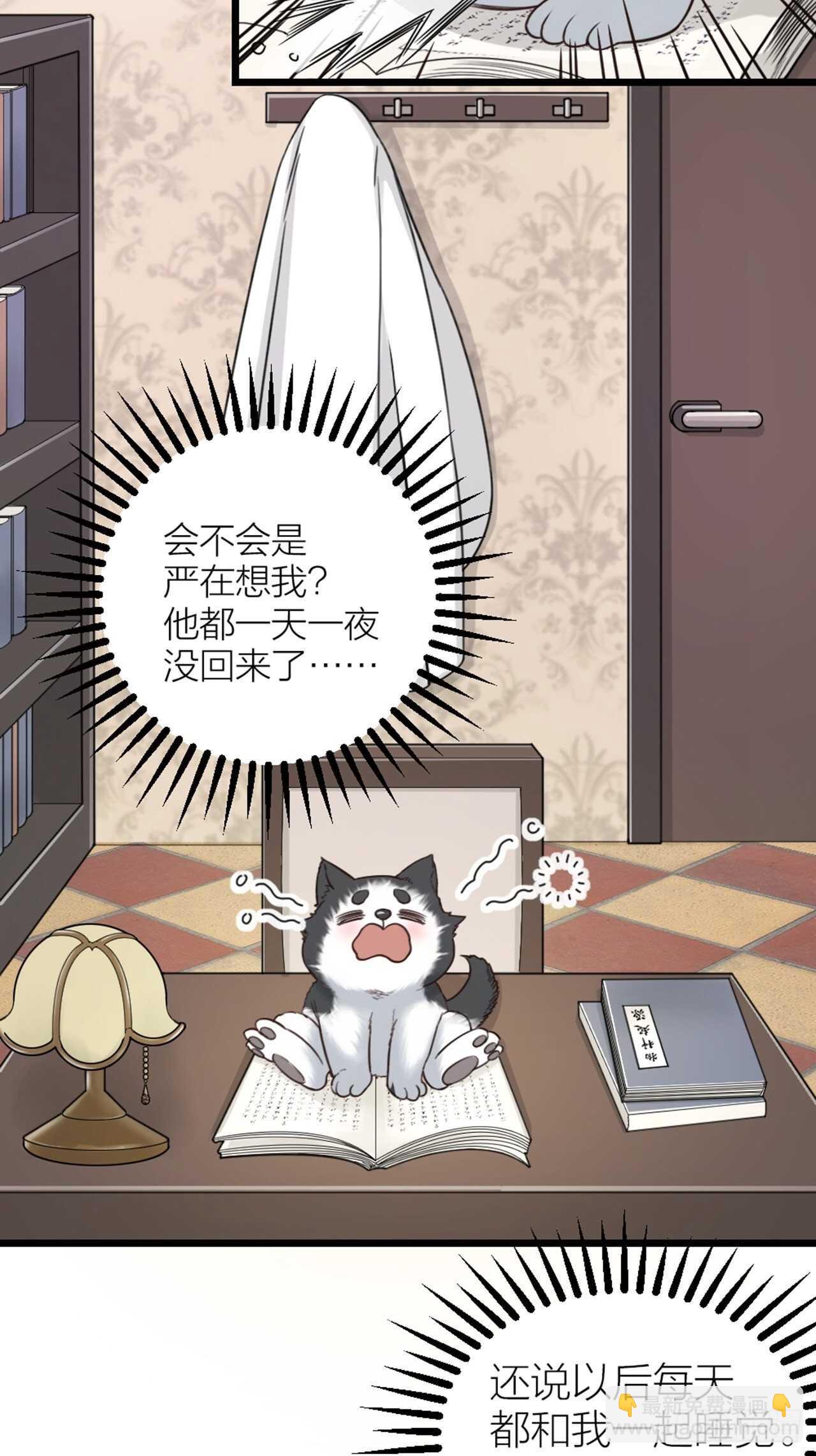 第44话 手术-第47话