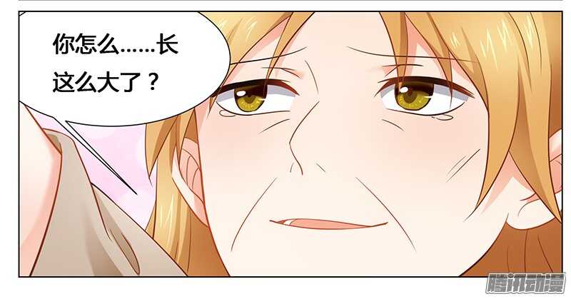 第37话 打败戴力熊-第37话