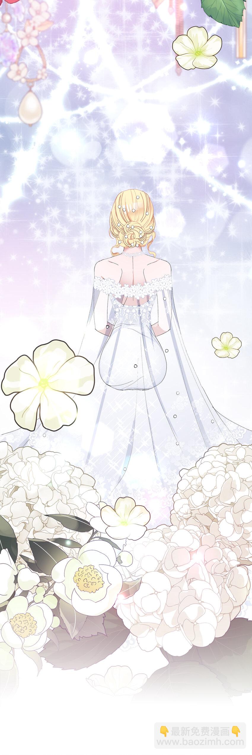 32 备受重视的婚礼-第33话