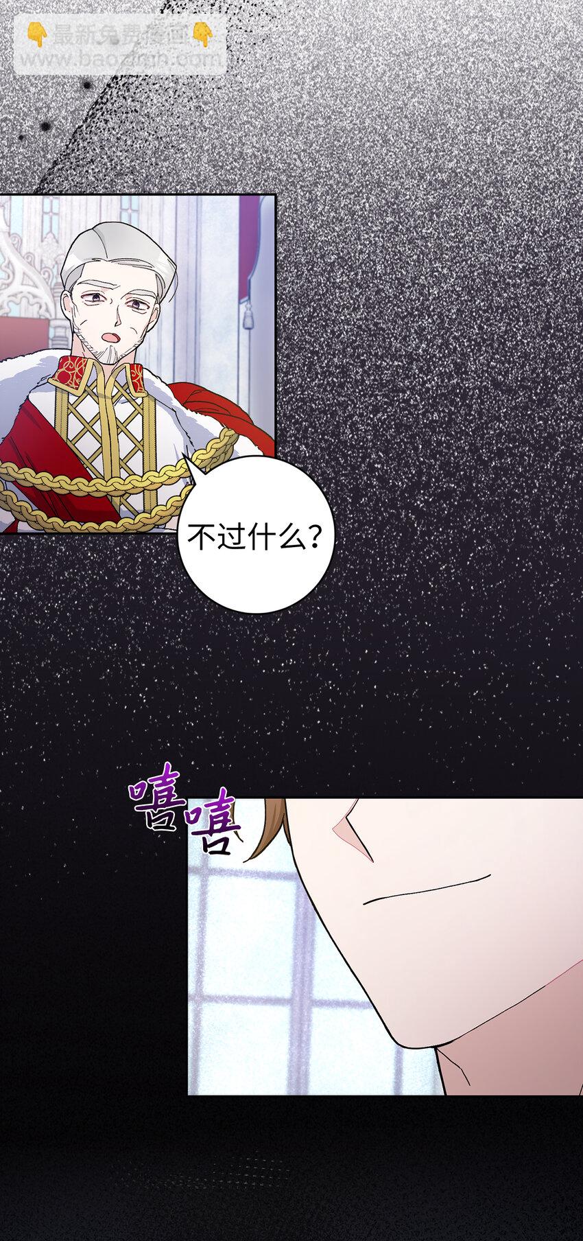 夫君，請再一次跟我結婚吧 - 72 皇帝的來信(1/2) - 6