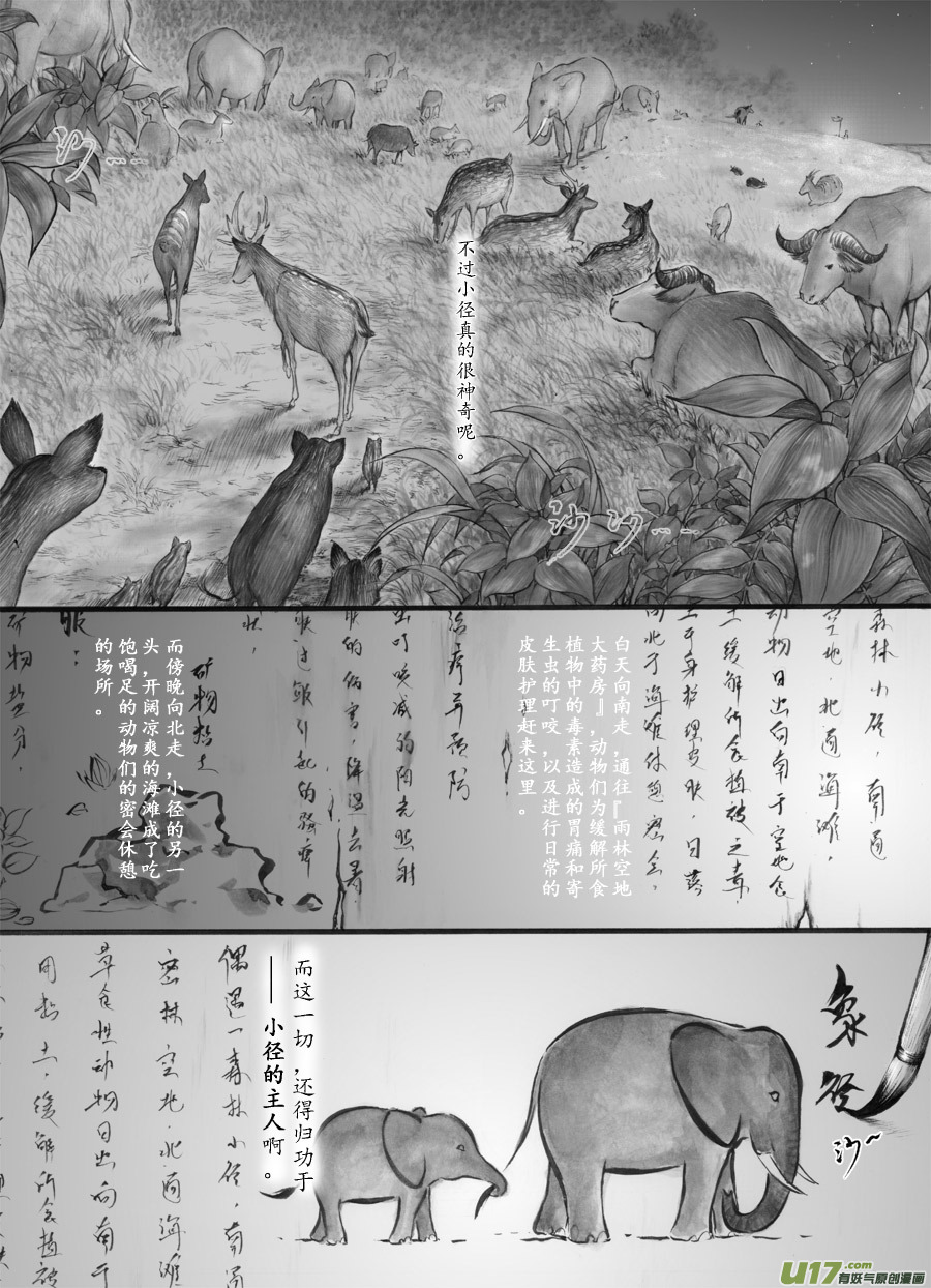 40 小径⑥-第41话