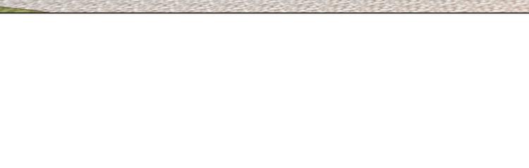 第40话 香奈争夺战-第41话