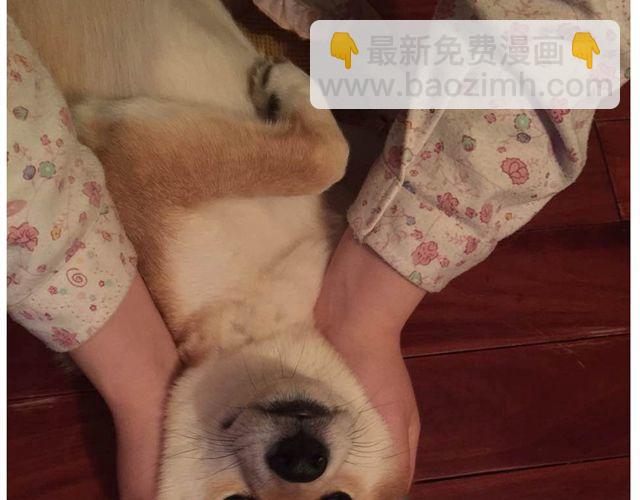 第15话 原来大家在背后默默的努力着-第15话