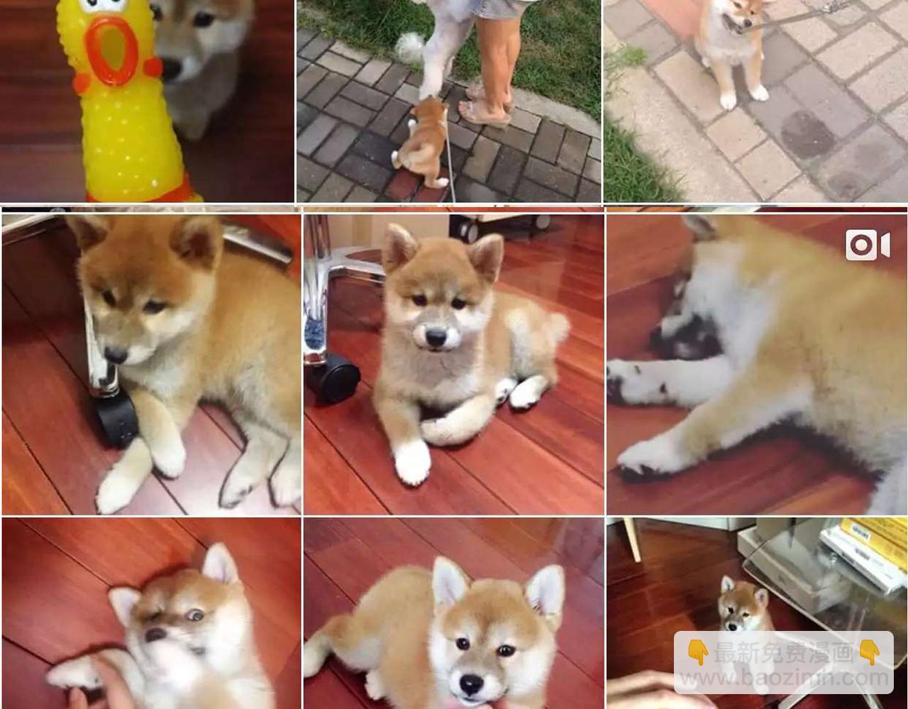 第35话 为了再次遇见你时能与你并肩-第35话