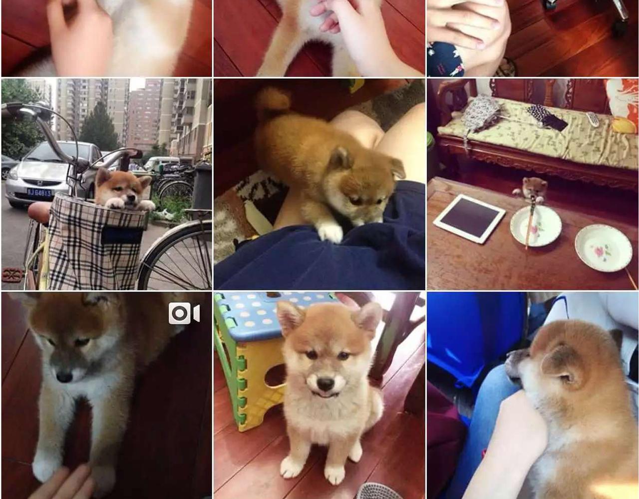 第35话 为了再次遇见你时能与你并肩-第35话