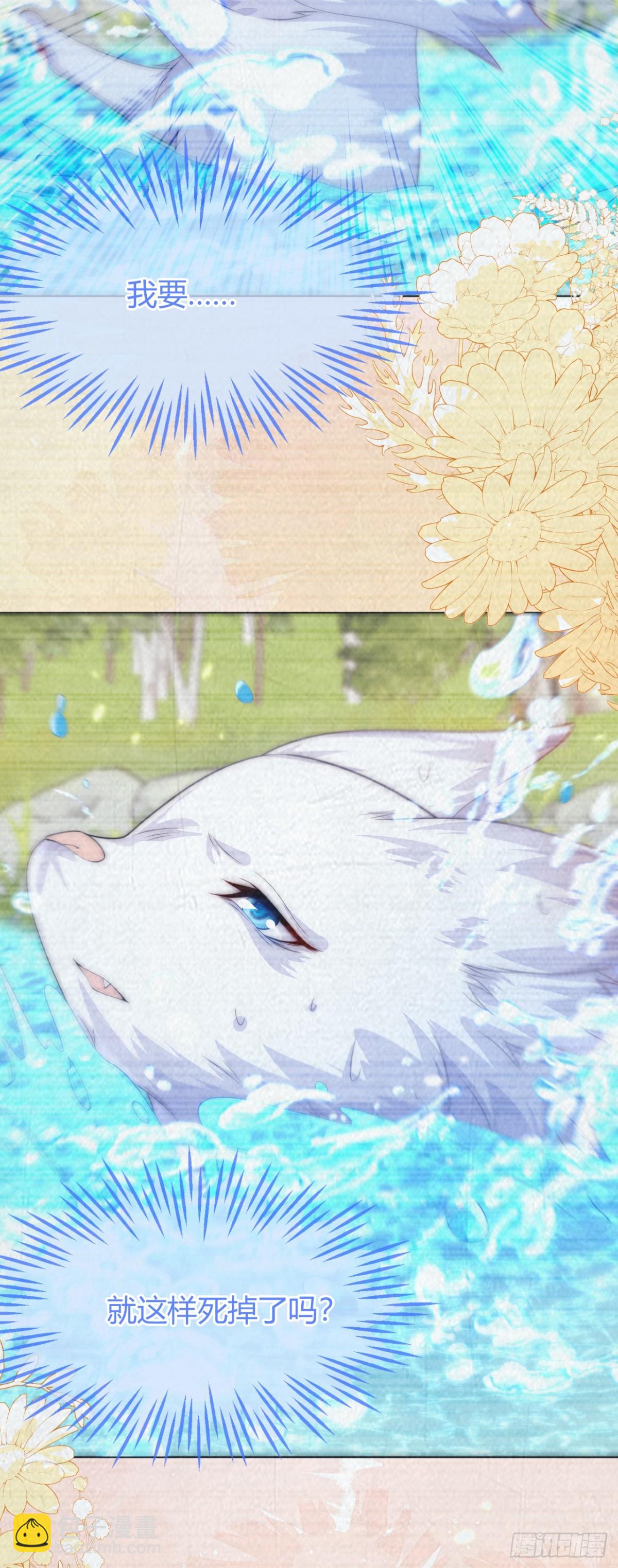 带你回家-第55话