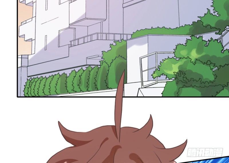 魏勉律师(1/2)-第49话