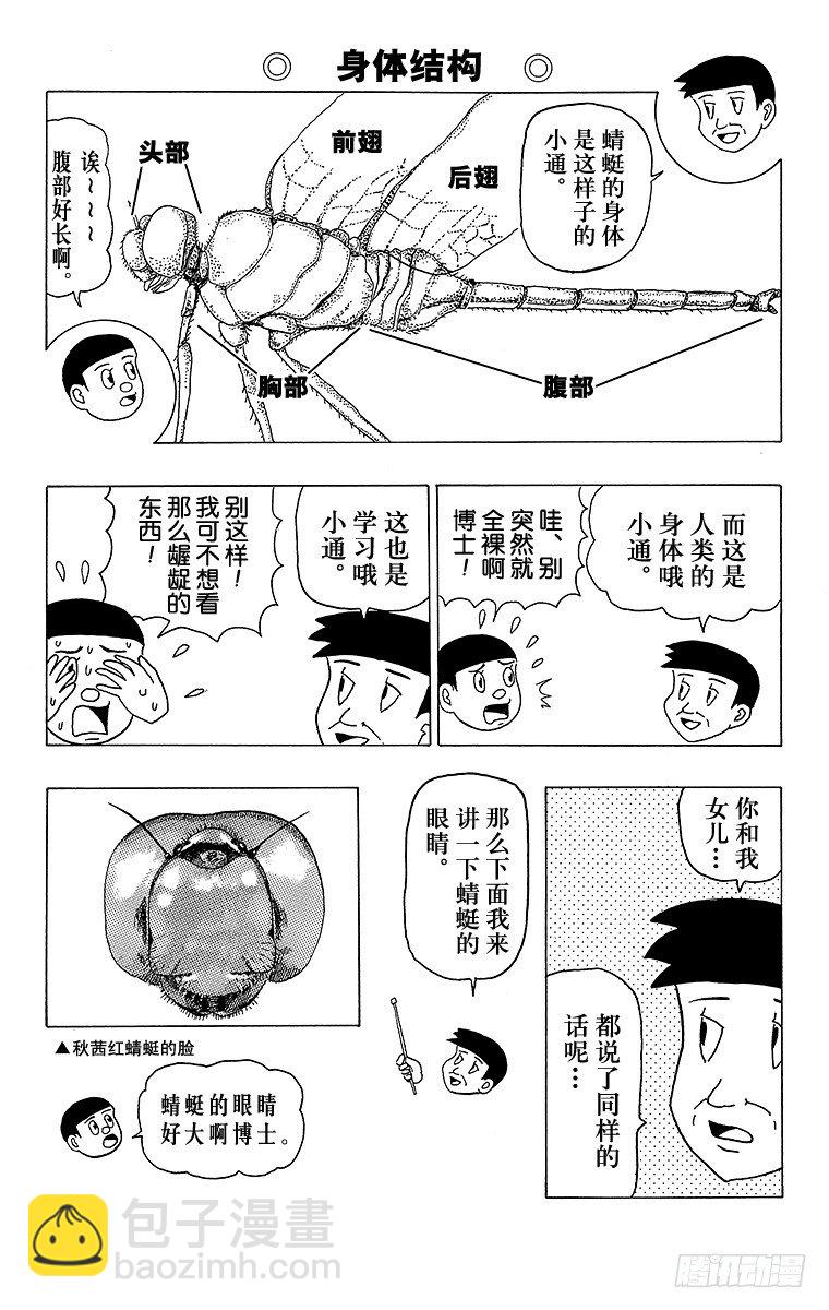 第11幕 奇异昆虫系列 奇异红蜻-第11话