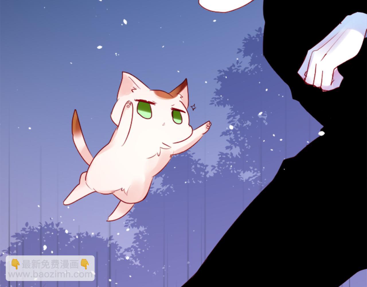 哥哥~請你收養喵 - 第140話 被春風滲透的幻想痛(2/2) - 6