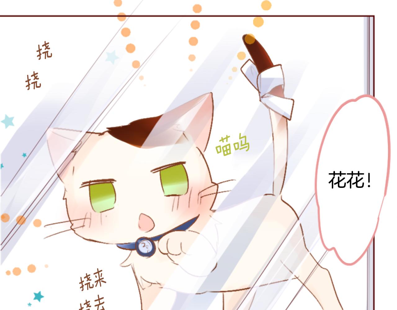 哥哥~請你收養喵 - 第198話 倒計時(1/2) - 8