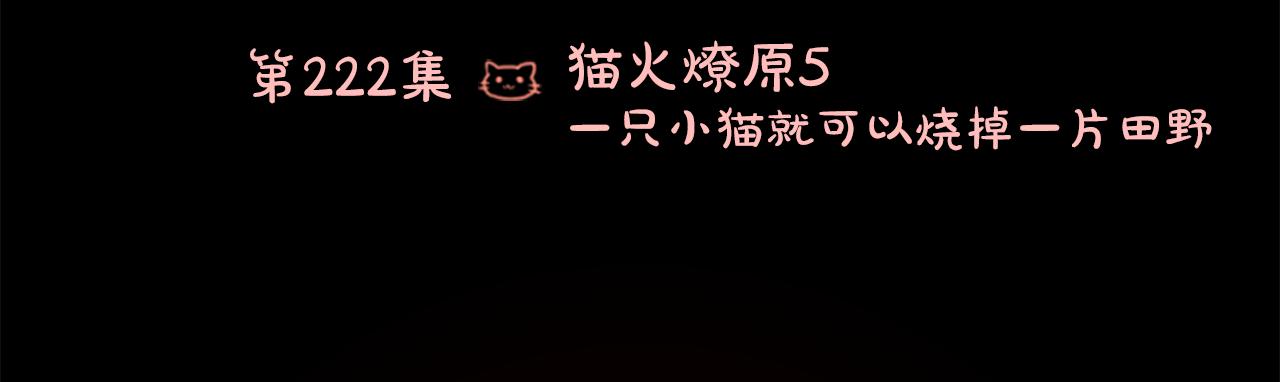 哥哥~请你收养喵 - 第222话 猫火燎原5(1/2) - 2